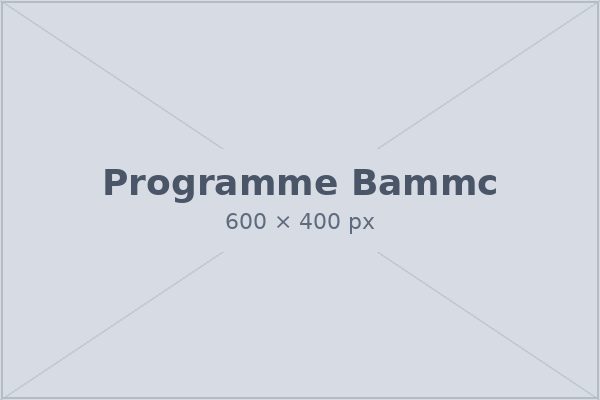 BAMMC programme
