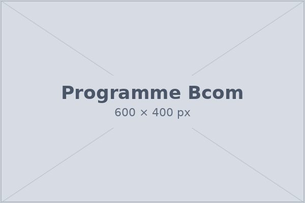 B.Com. programme