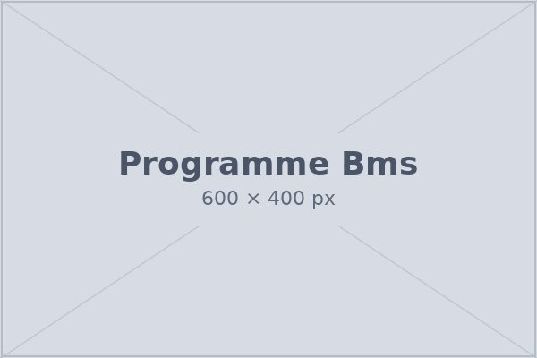 BMS programme